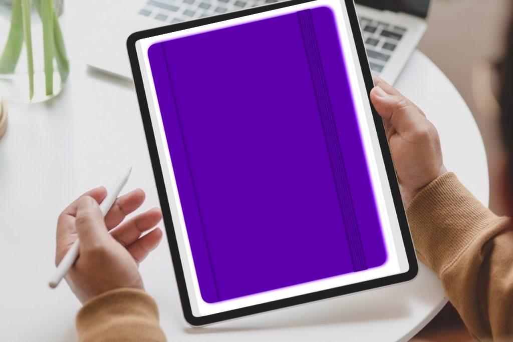 ProDuVi Notizbuch violett